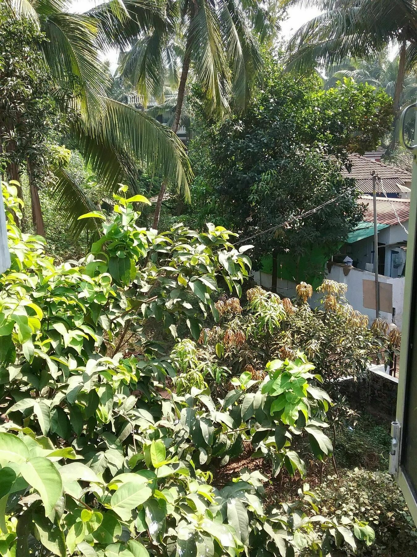 Hotel Baga Villa Bnb Saligao Екстериор снимка